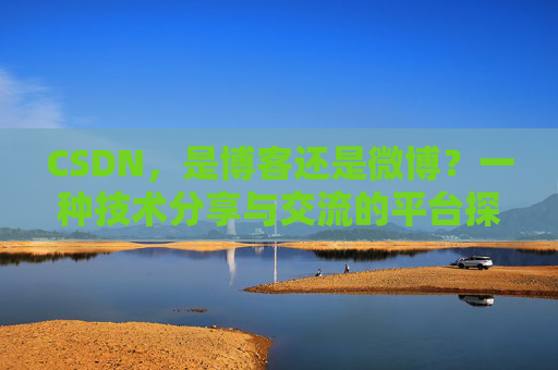 CSDN，是博客还是微博？一种技术分享与交流的平台探讨